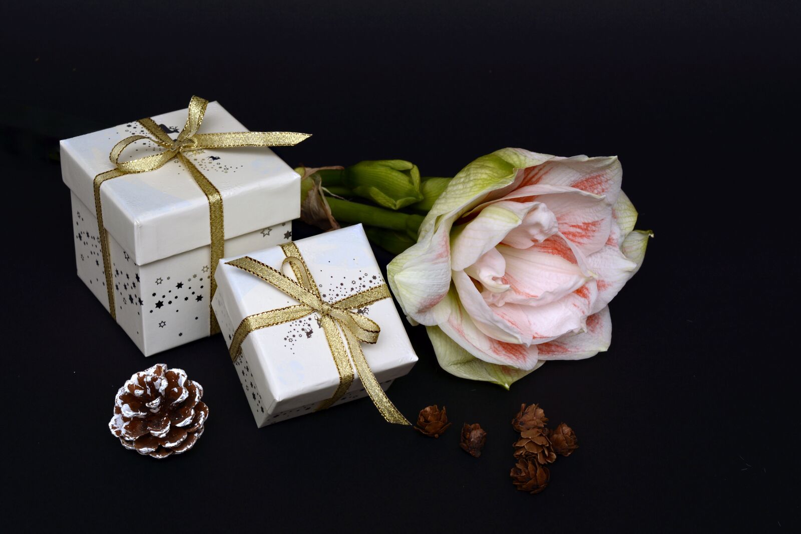 Nikon D7100 sample photo. Christmas gift, christmas, gift photography