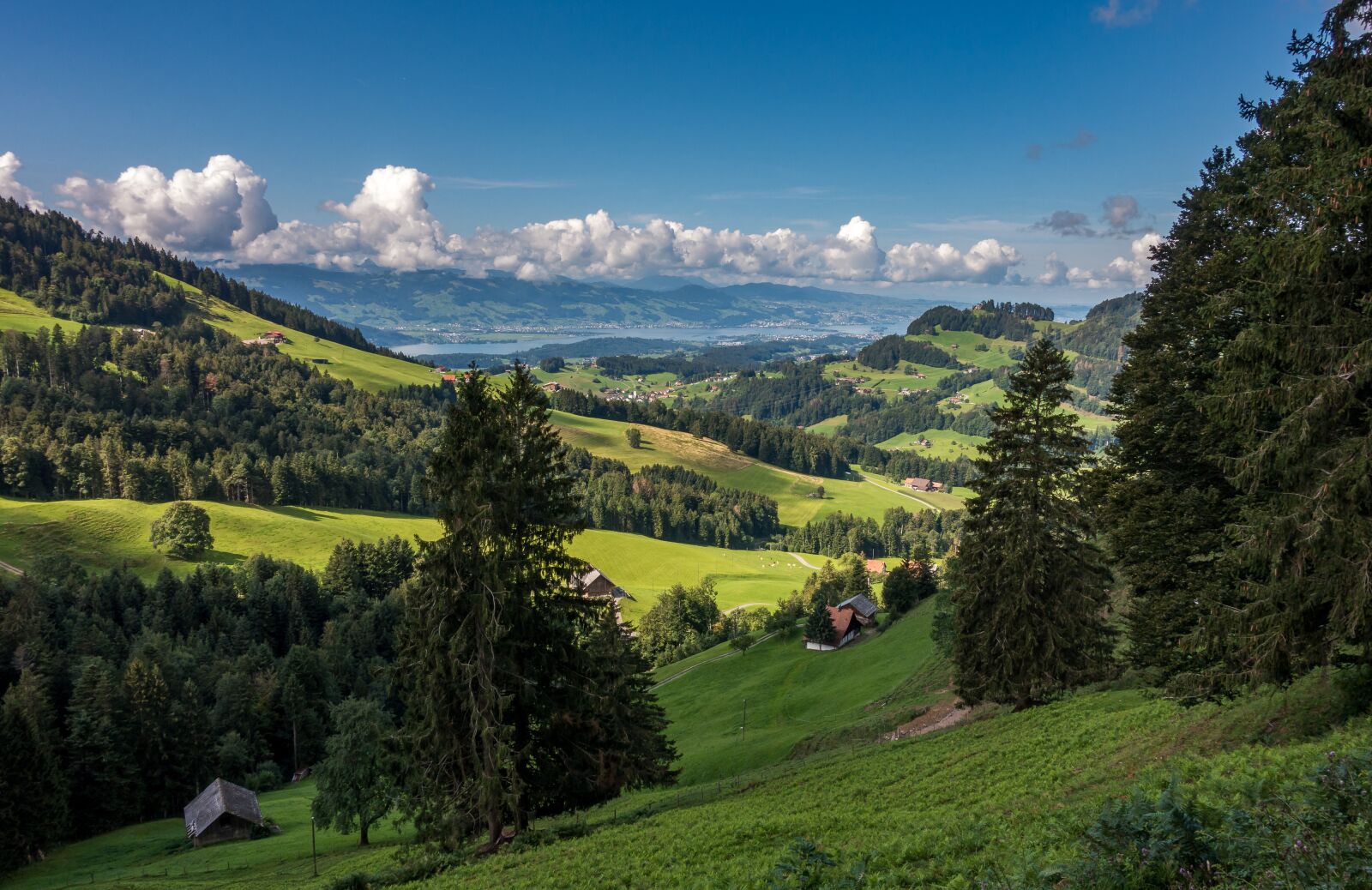 Sony Cyber-shot DSC-RX100 III sample photo. Foothills of the alps photography