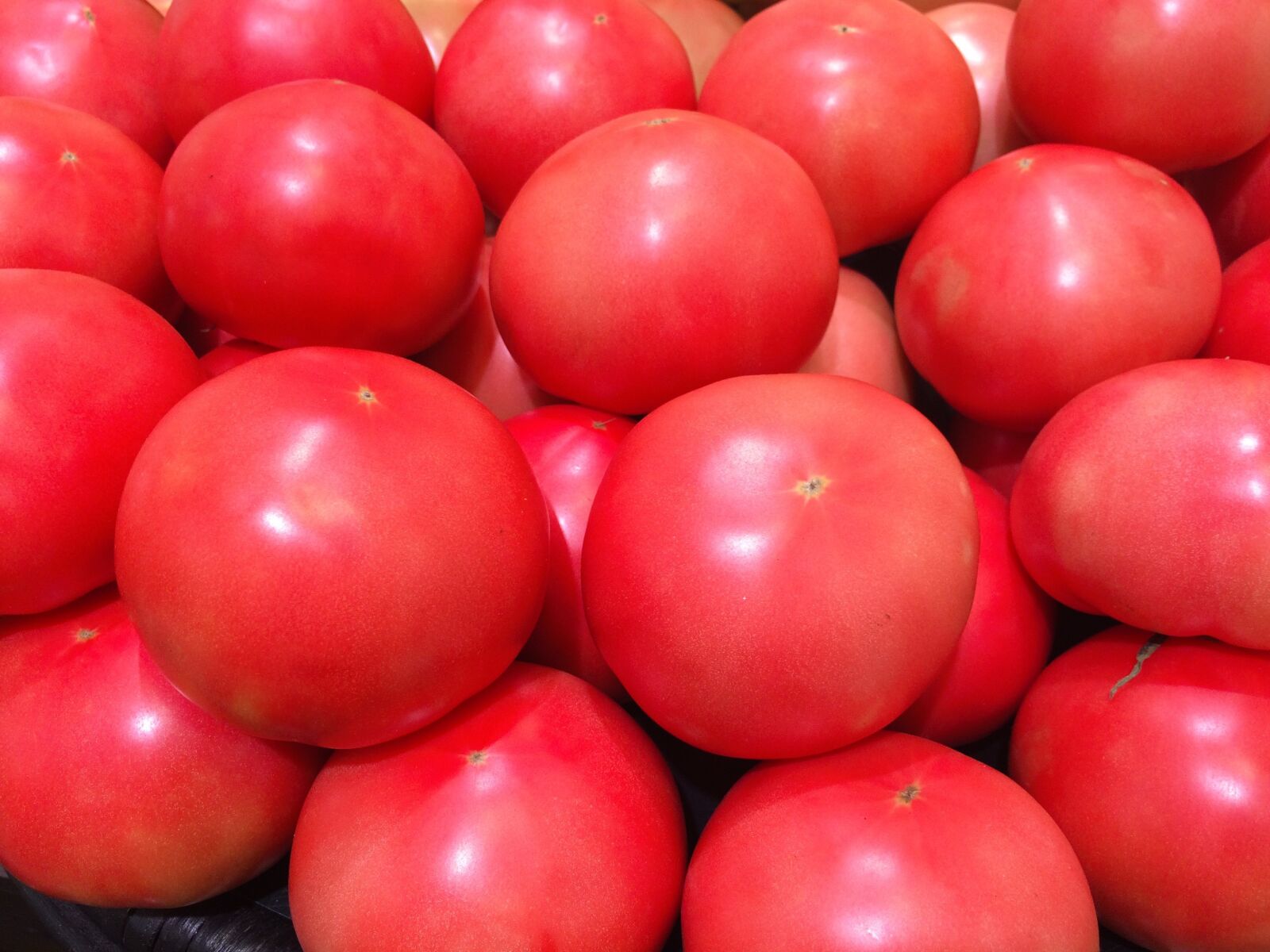 iPhone 5s back camera 4.15mm f/2.2 sample photo. Tomato, display, red photography