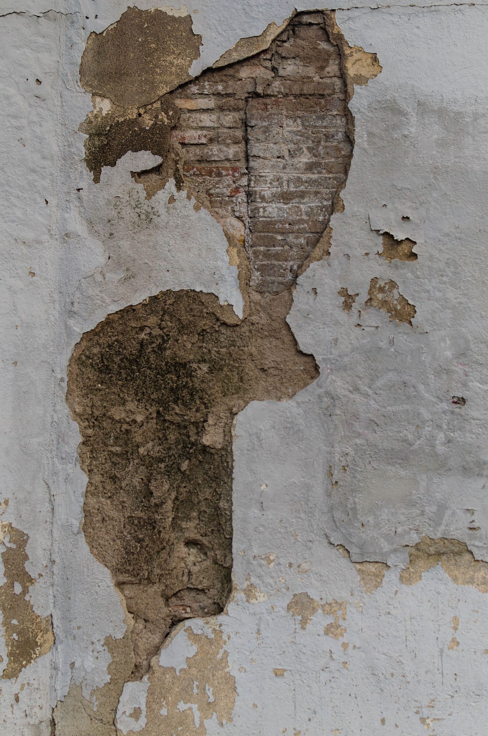 Nikon D5100 sample photo. Brick, wall, texture photography