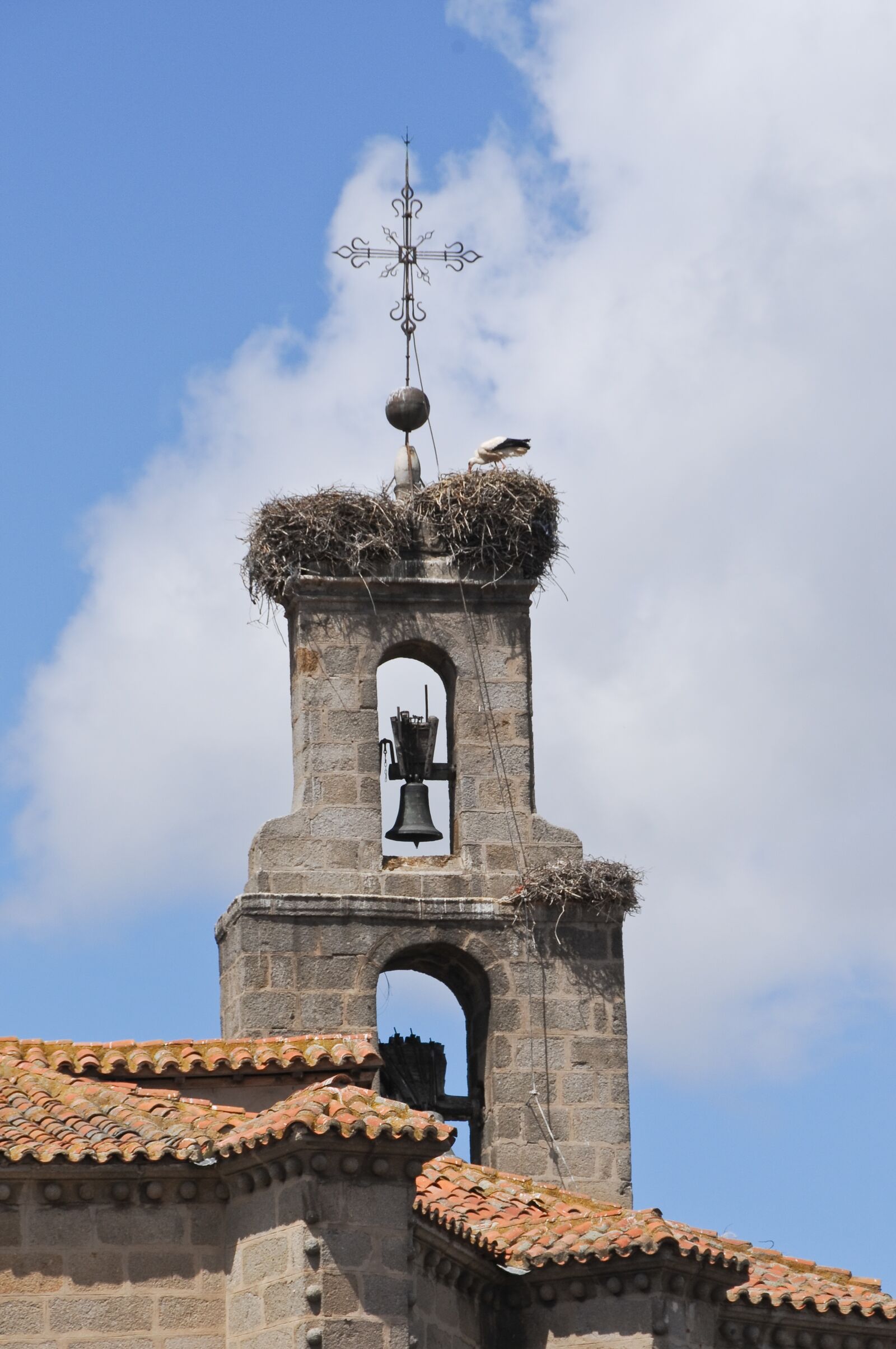 Nikon D300 sample photo. Bell tower, stork, old photography