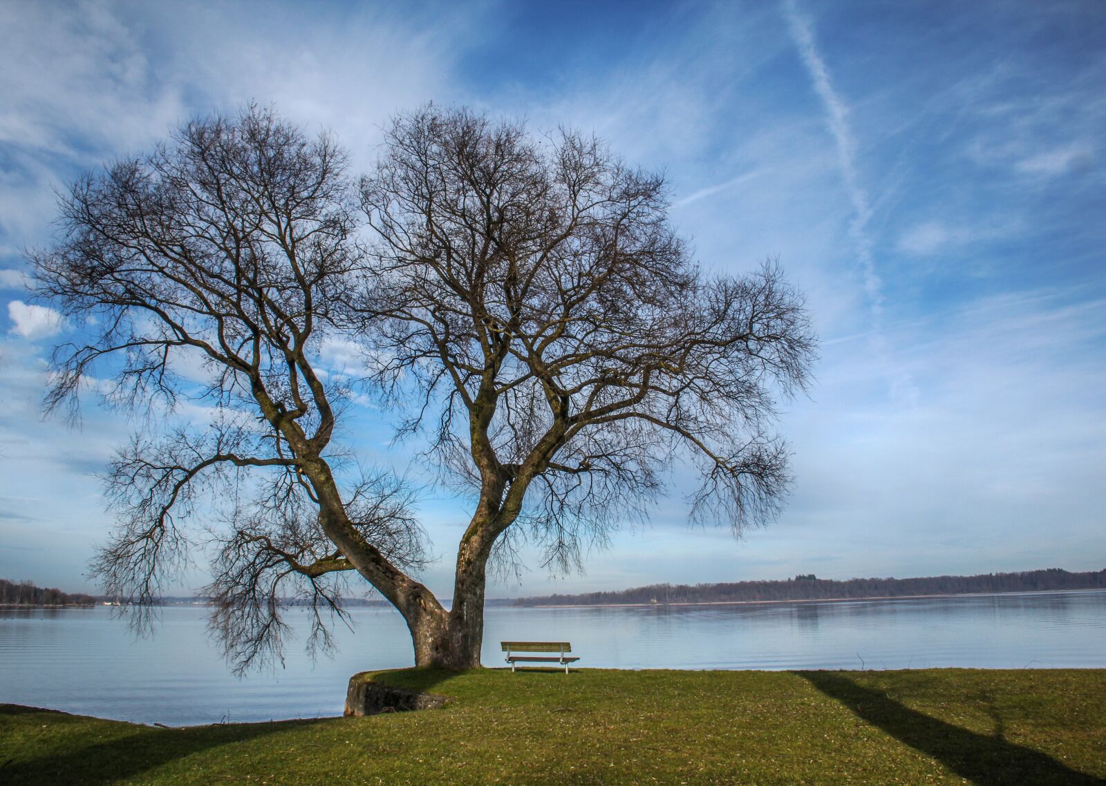Canon EOS 550D (EOS Rebel T2i / EOS Kiss X4) sample photo. Tree, bench, lake photography