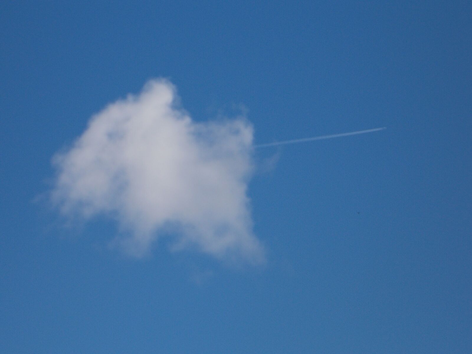Nikon Coolpix L810 sample photo. Sky, cloud, summer photography