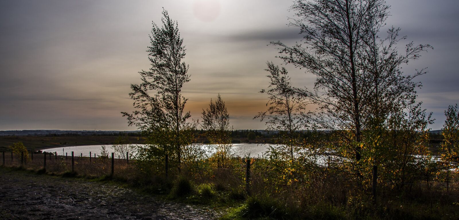 Nikon D7200 sample photo. Landscape, pond, tree photography
