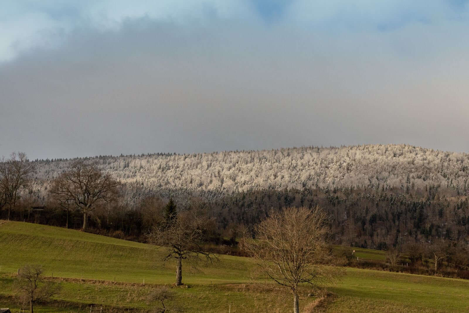 Canon EOS 6D Mark II sample photo. Hill, frost, fog photography