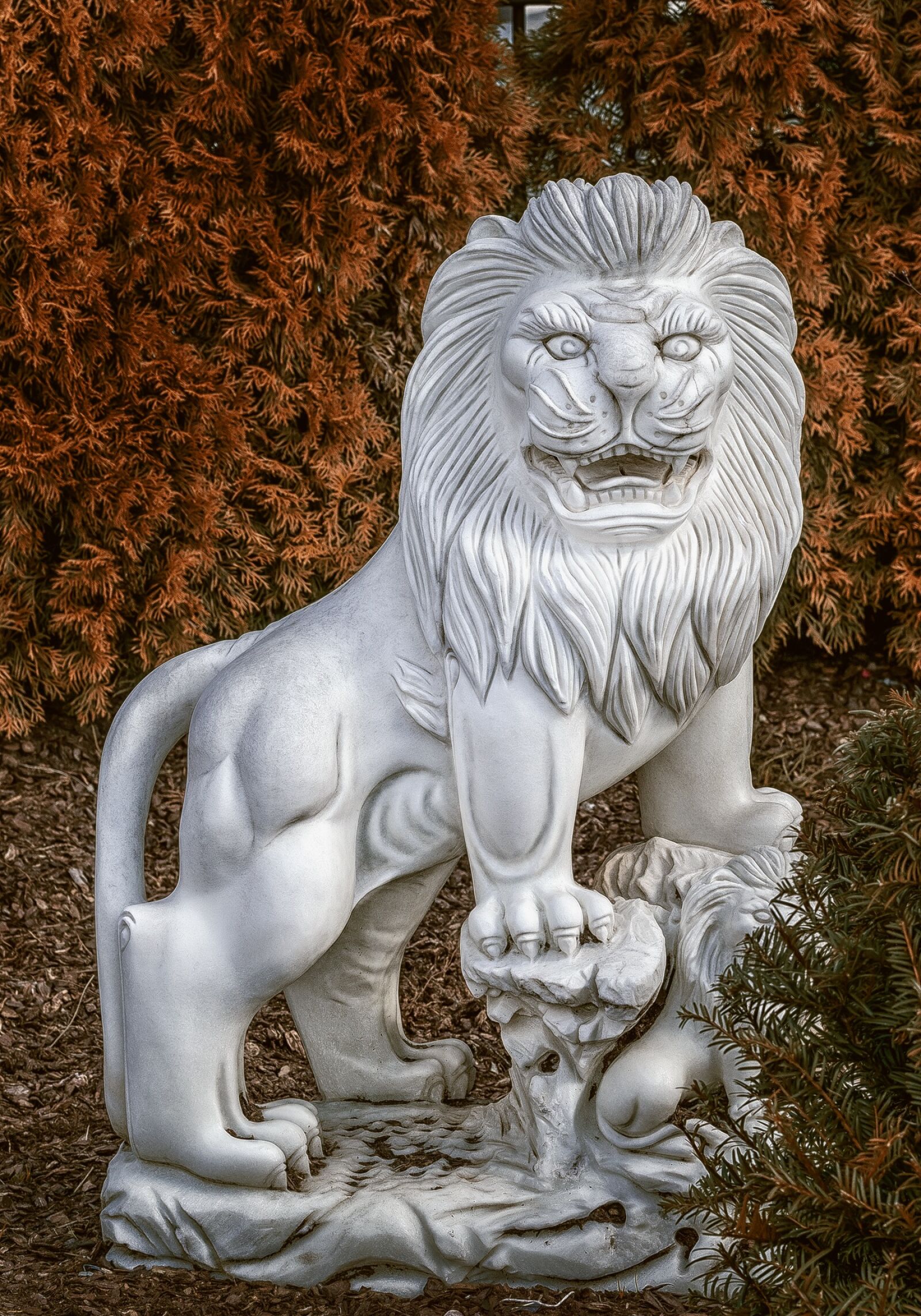 Sony ILCA-77M2 sample photo. Hamburg, lion, big cat photography