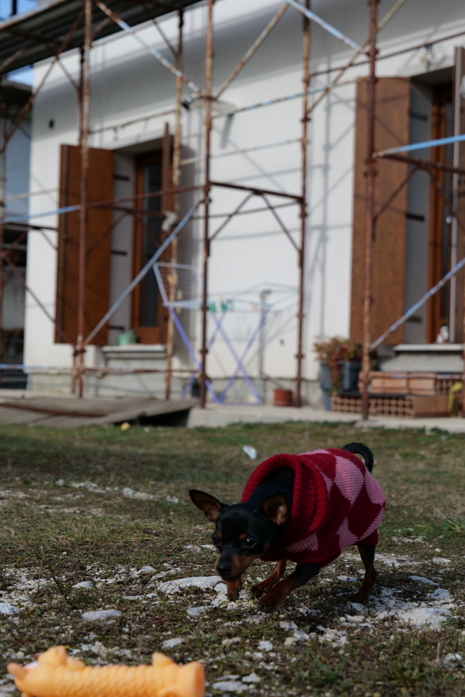 Panasonic DC-S5D sample photo