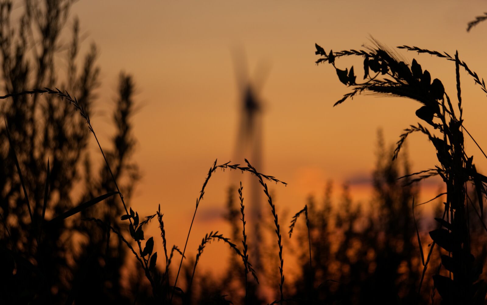 Sony a6000 sample photo. Sunset, pinwheel, environmental technology photography