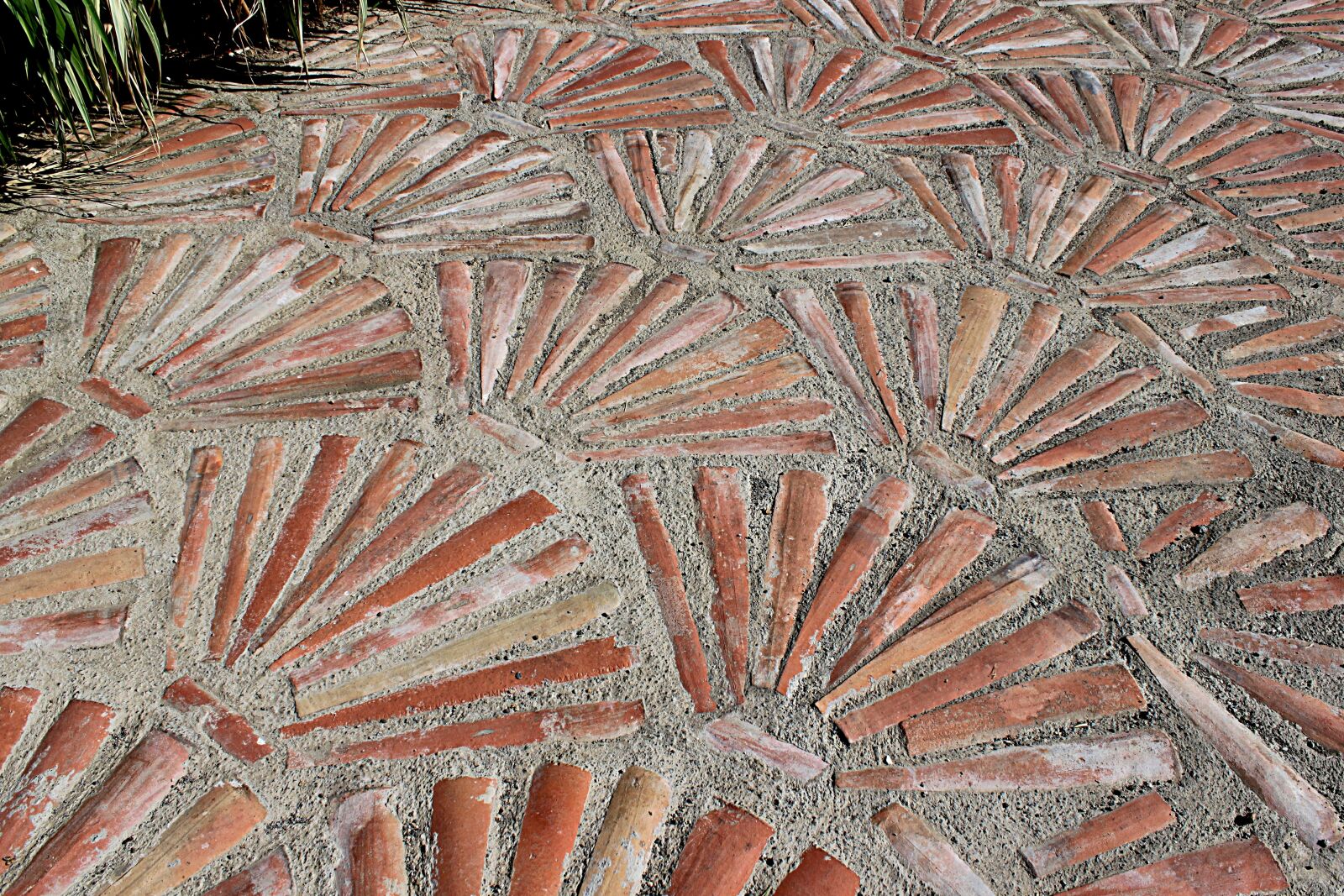 Canon EOS 500D (EOS Rebel T1i / EOS Kiss X3) sample photo. Soil, pattern, red photography