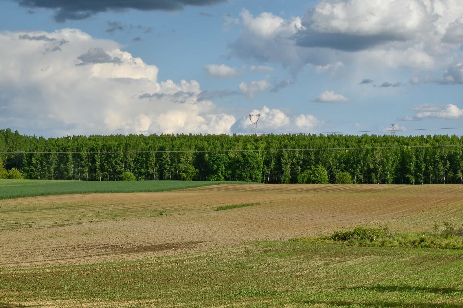 Nikon D5500 sample photo. Summer, landscape, meadow, agriculture photography