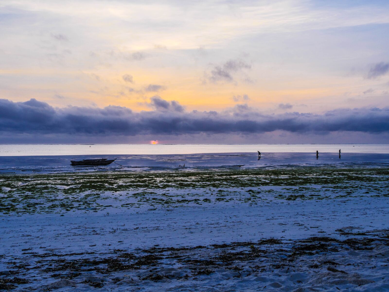 Panasonic Lumix DMC-GX8 sample photo. Shell seekers, breakfast, sunrise photography