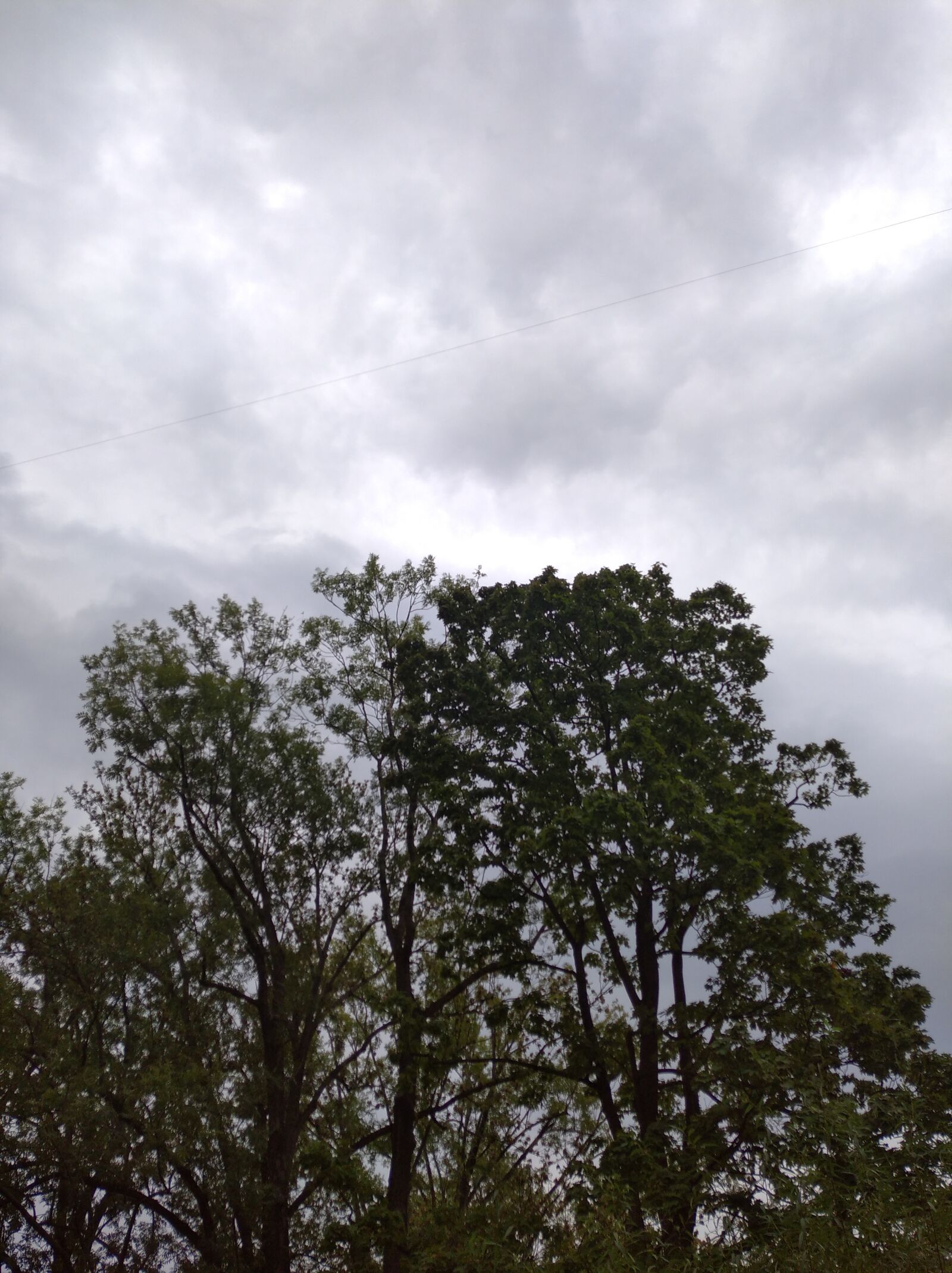 Xiaomi Redmi 8 sample photo