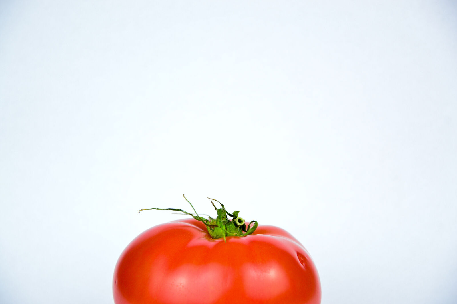 Nikon D3200 sample photo. Food, still, life, tomato photography