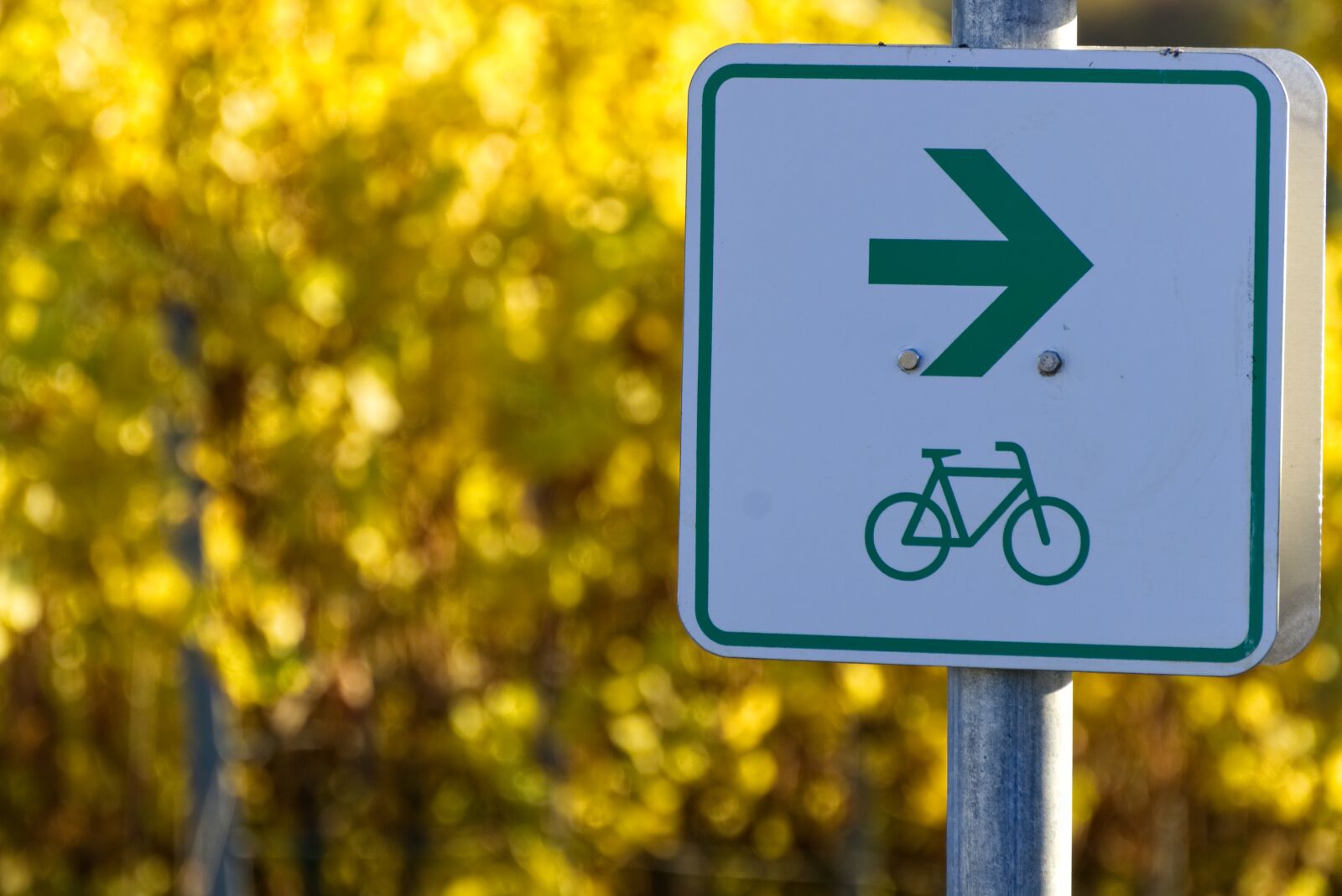 Sony a6000 sample photo. Bicycle path, shield, characters photography