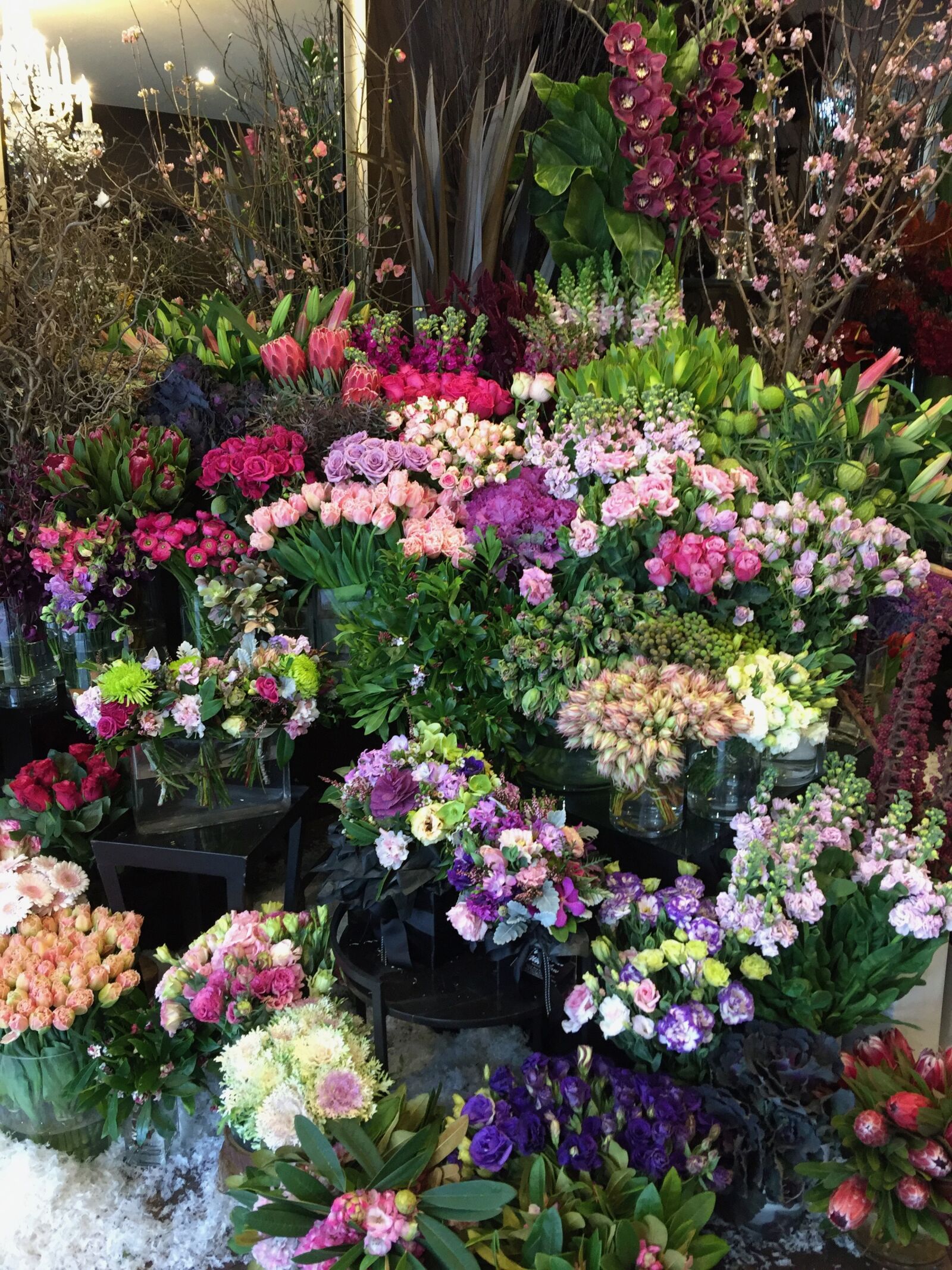 iPhone 6 Plus back camera 4.15mm f/2.2 sample photo. Florist, flowers, scent photography
