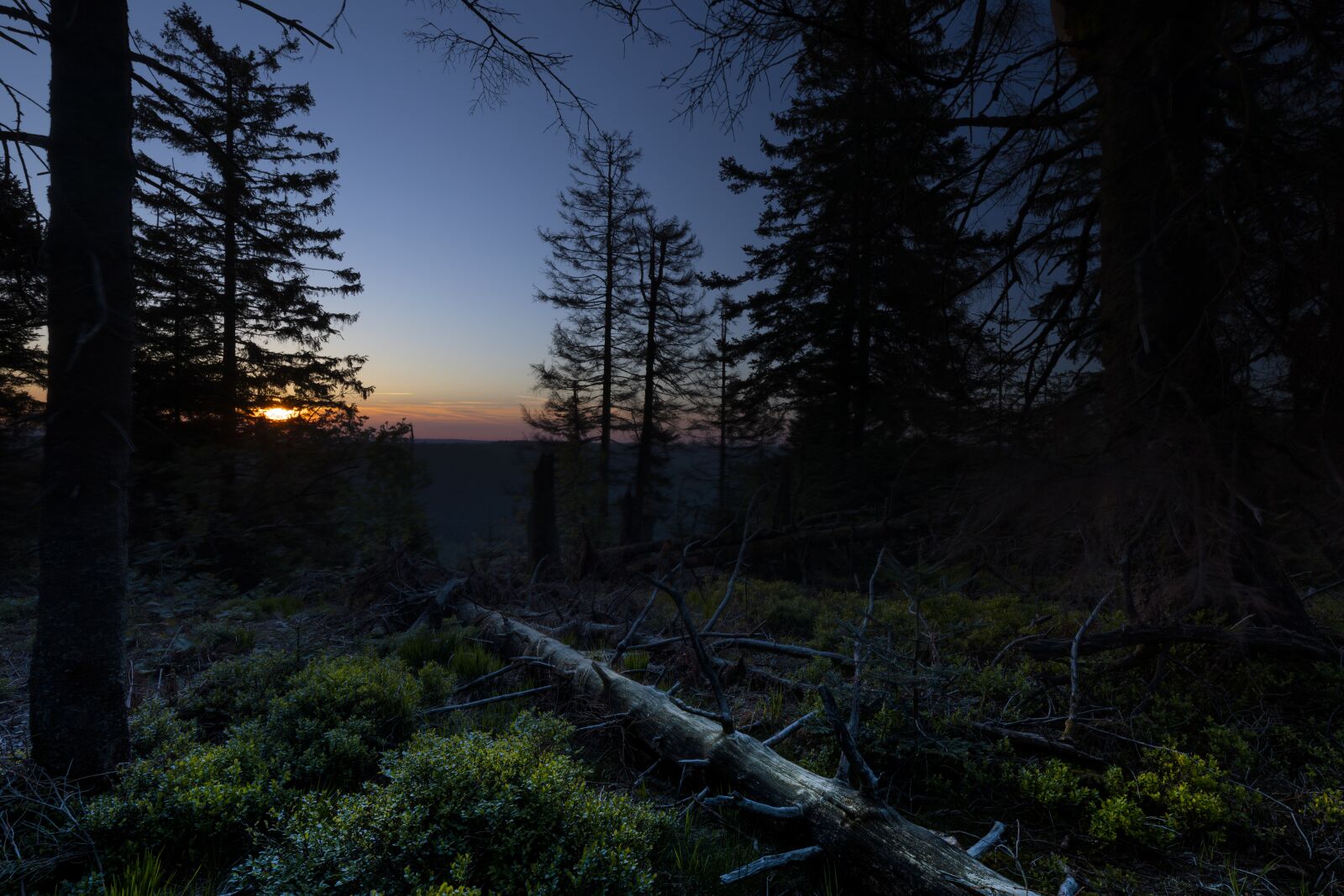 Canon EOS 5D Mark IV + Canon EF 16-35mm F4L IS USM sample photo. Sunset, black forest, mystic photography
