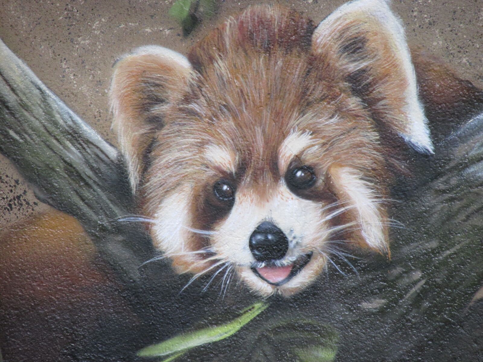 Canon PowerShot SX160 IS sample photo. Panda, bear, wall art photography