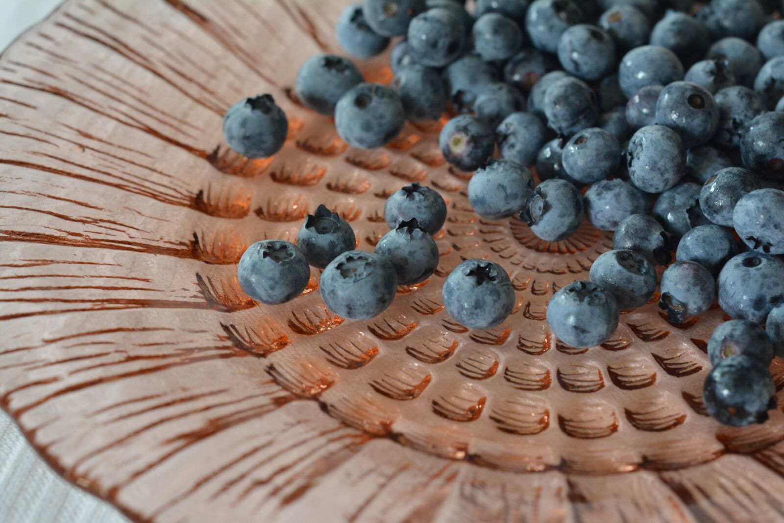 Nikon D5200 sample photo. Blueberries, bilberry, berries photography