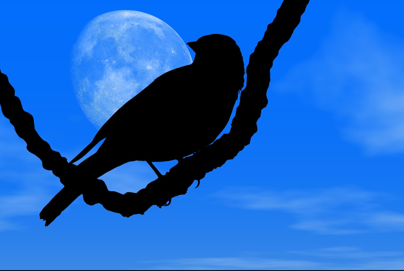 Canon PowerShot G1 X Mark III sample photo. Night, moon, bird photography