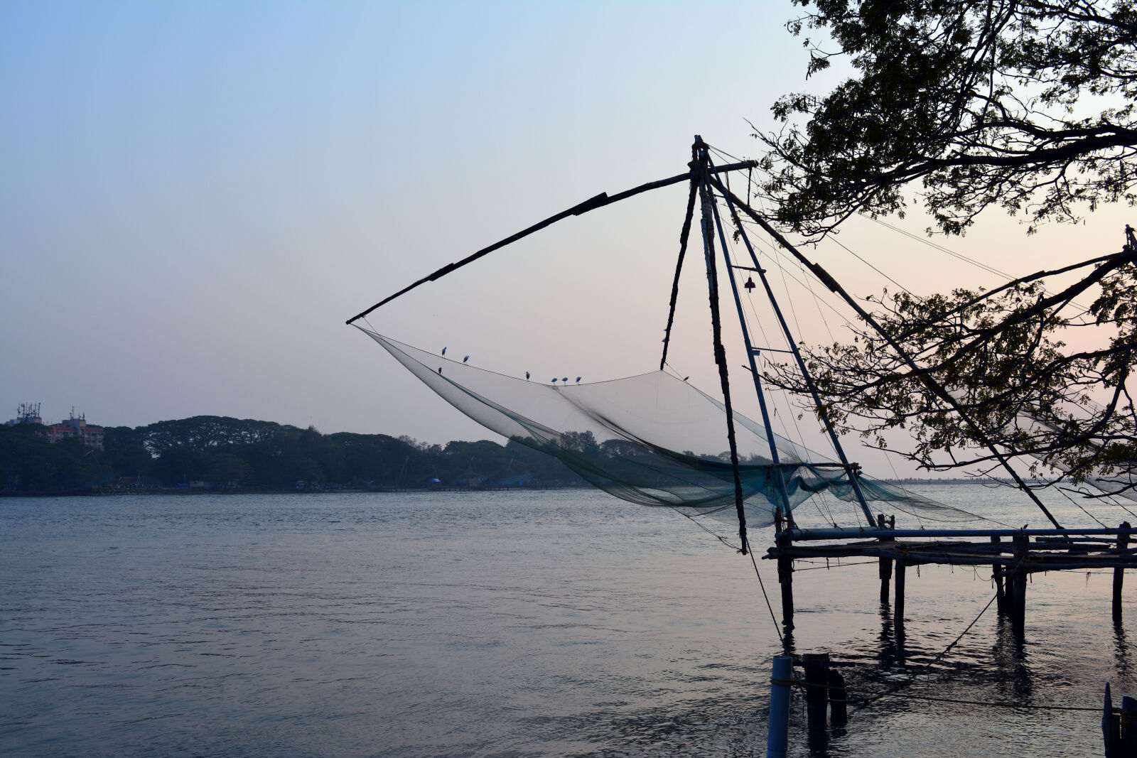 Nikon D5200 sample photo. Cheena, vala, chinese, fishing photography