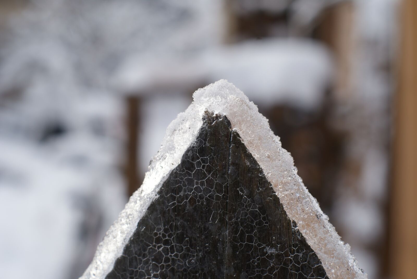 Sony Alpha DSLR-A300 sample photo. Winter, log, snow photography