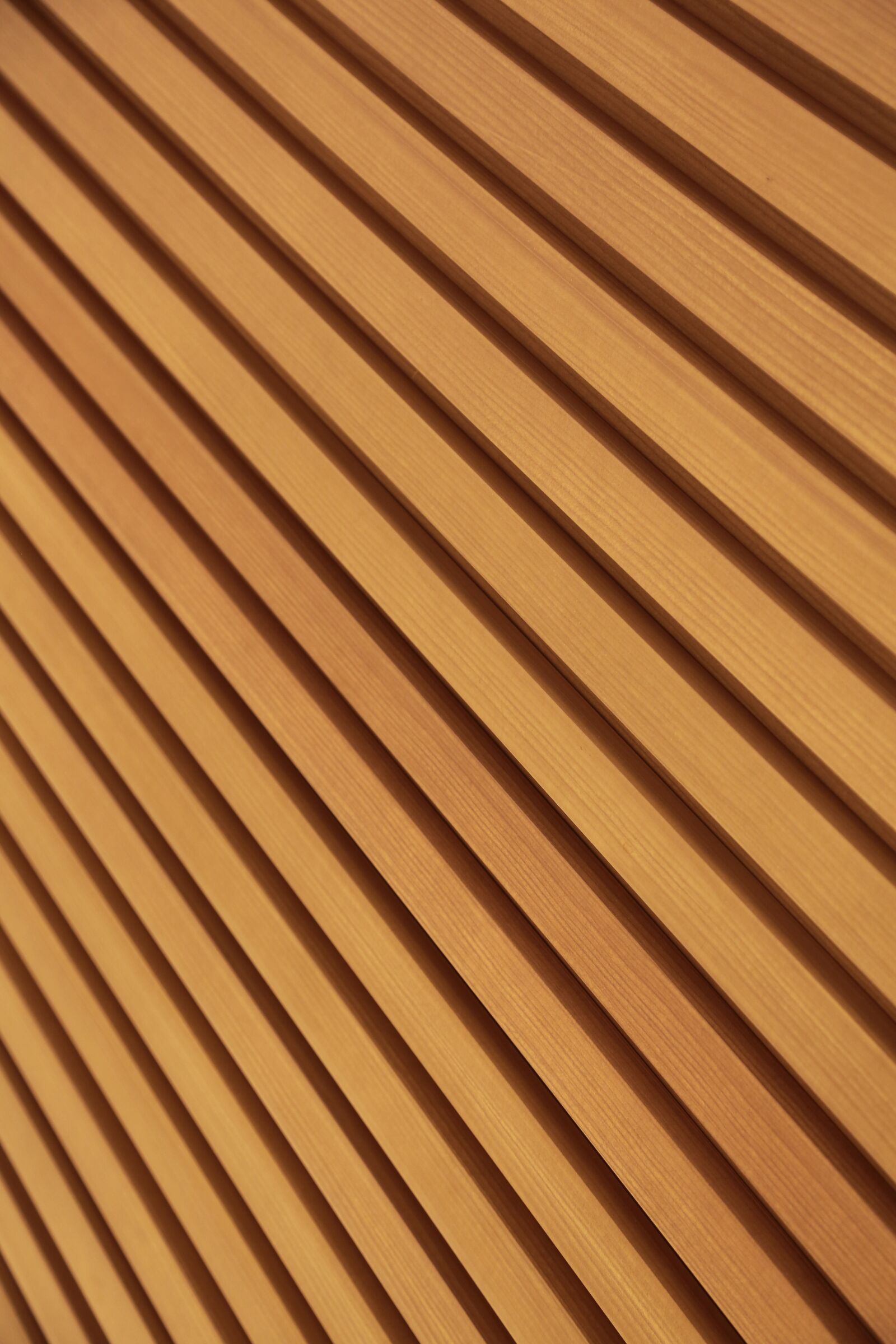 Canon EF 24-105mm F4L IS USM sample photo. Pattern, texture, flooring photography