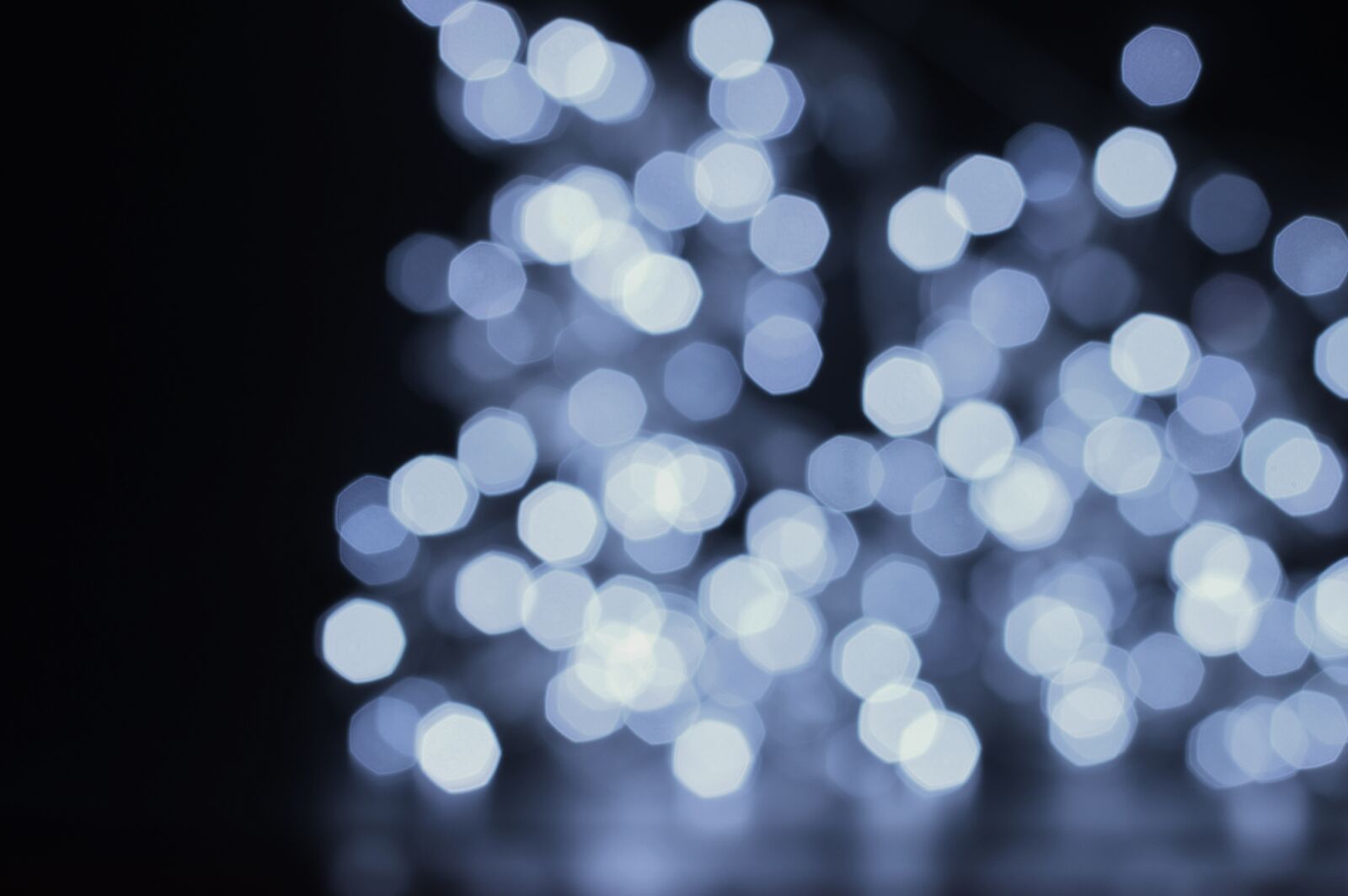 Nikon D3200 sample photo. Background, fuzzy, bokeh photography