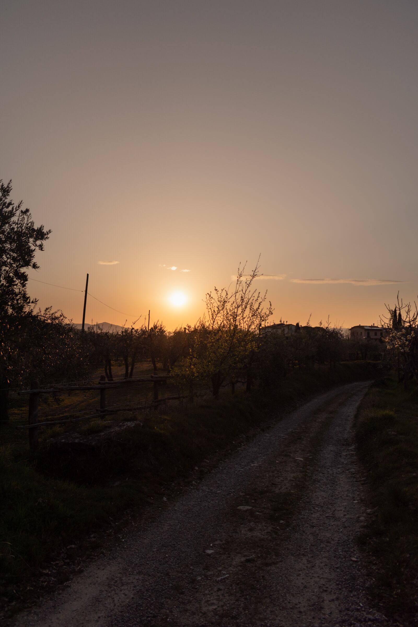 Nikon D5600 sample photo. Tuscany, hills, panorama photography