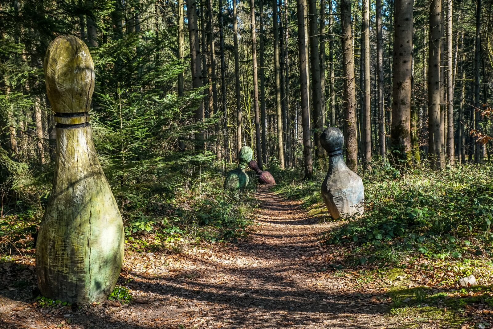 Sony ILCA-77M2 + Sony DT 18-135mm F3.5-5.6 SAM sample photo. Forest path, fairytale, path photography