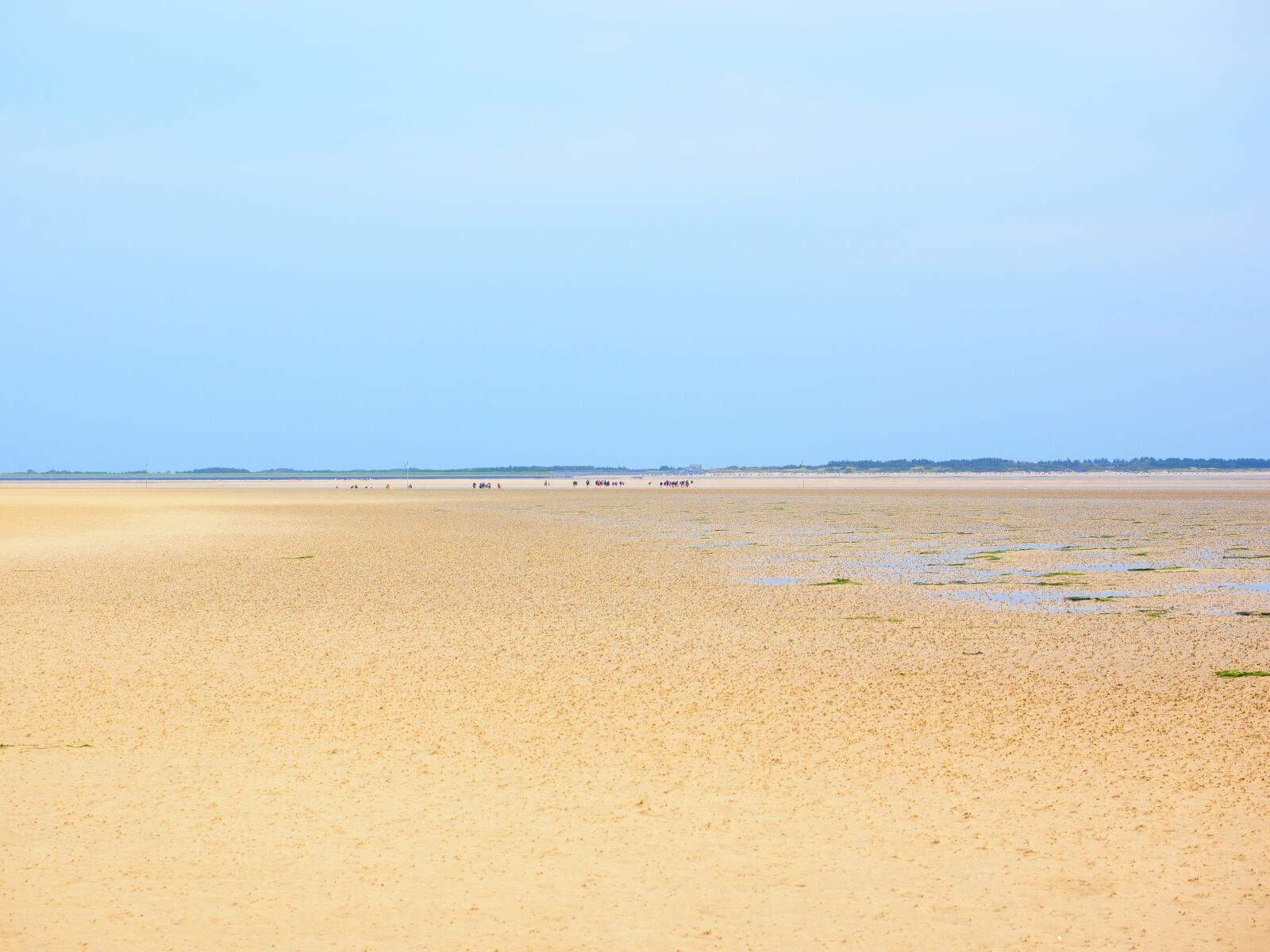 Olympus OM-D E-M1 + Olympus M.Zuiko Digital ED 12-40mm F2.8 Pro sample photo. Watts, wadden sea, sand photography