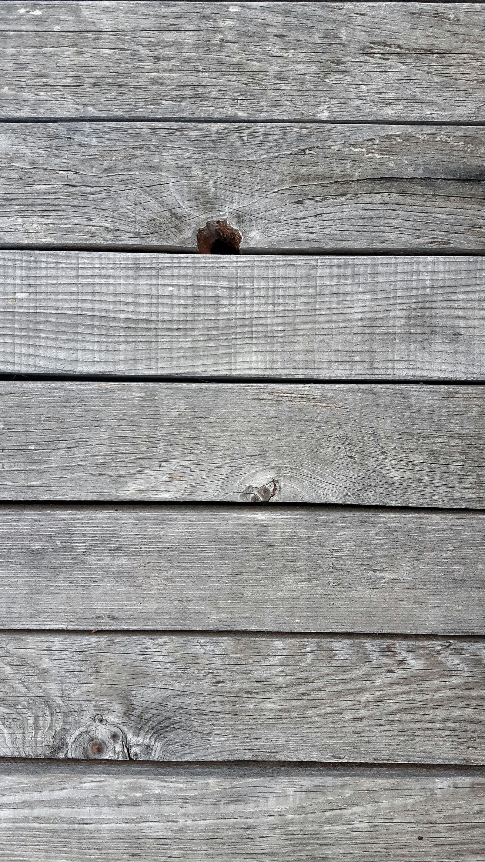 Samsung Galaxy S5 Neo sample photo. Wood, texture, plant photography