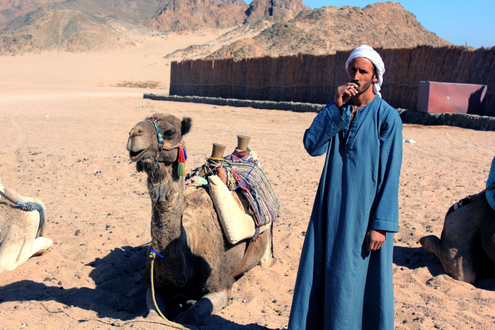 Canon EOS 550D (EOS Rebel T2i / EOS Kiss X4) sample photo. Egypt, bedouin, sahara photography
