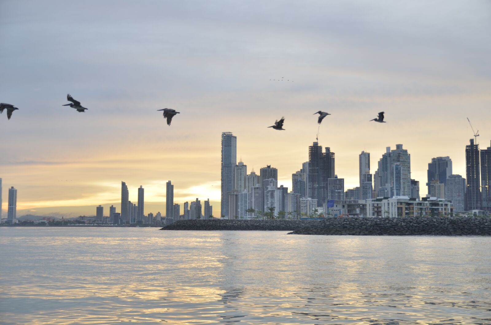 Nikon D7000 sample photo. Evening, panama city, panama photography