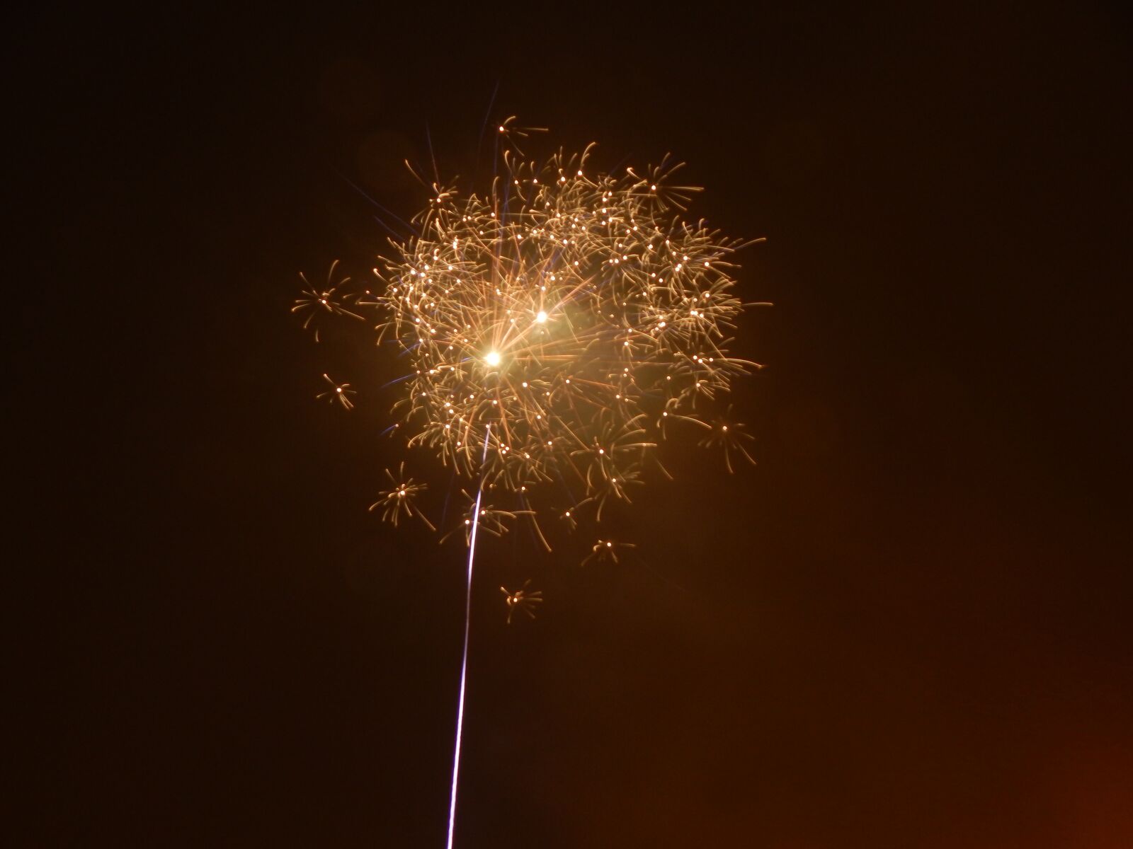 Nikon Coolpix L830 sample photo. New year's eve, rocket photography