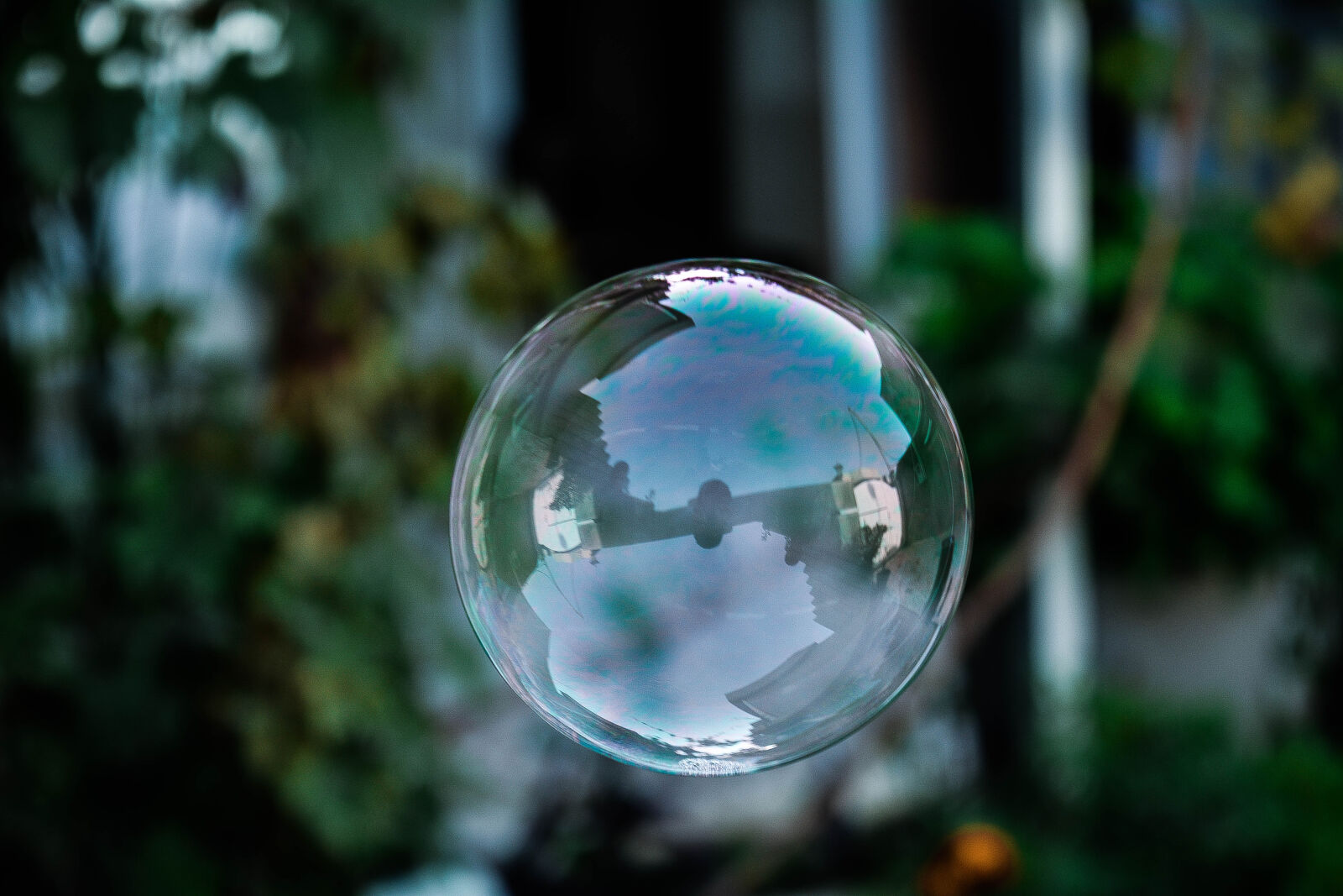 Nikon D5200 sample photo
