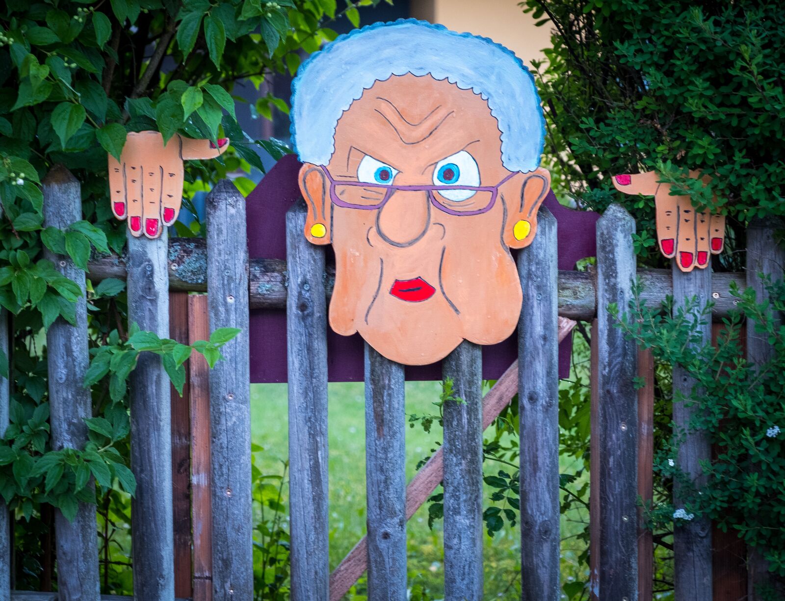 Fujifilm X-T2 sample photo. Fence, hedge, artwork photography