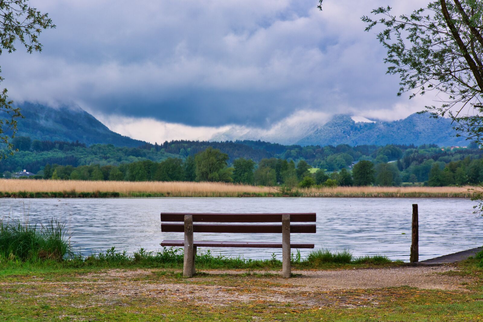 Nikon D7100 sample photo. Lake, bench, bank photography