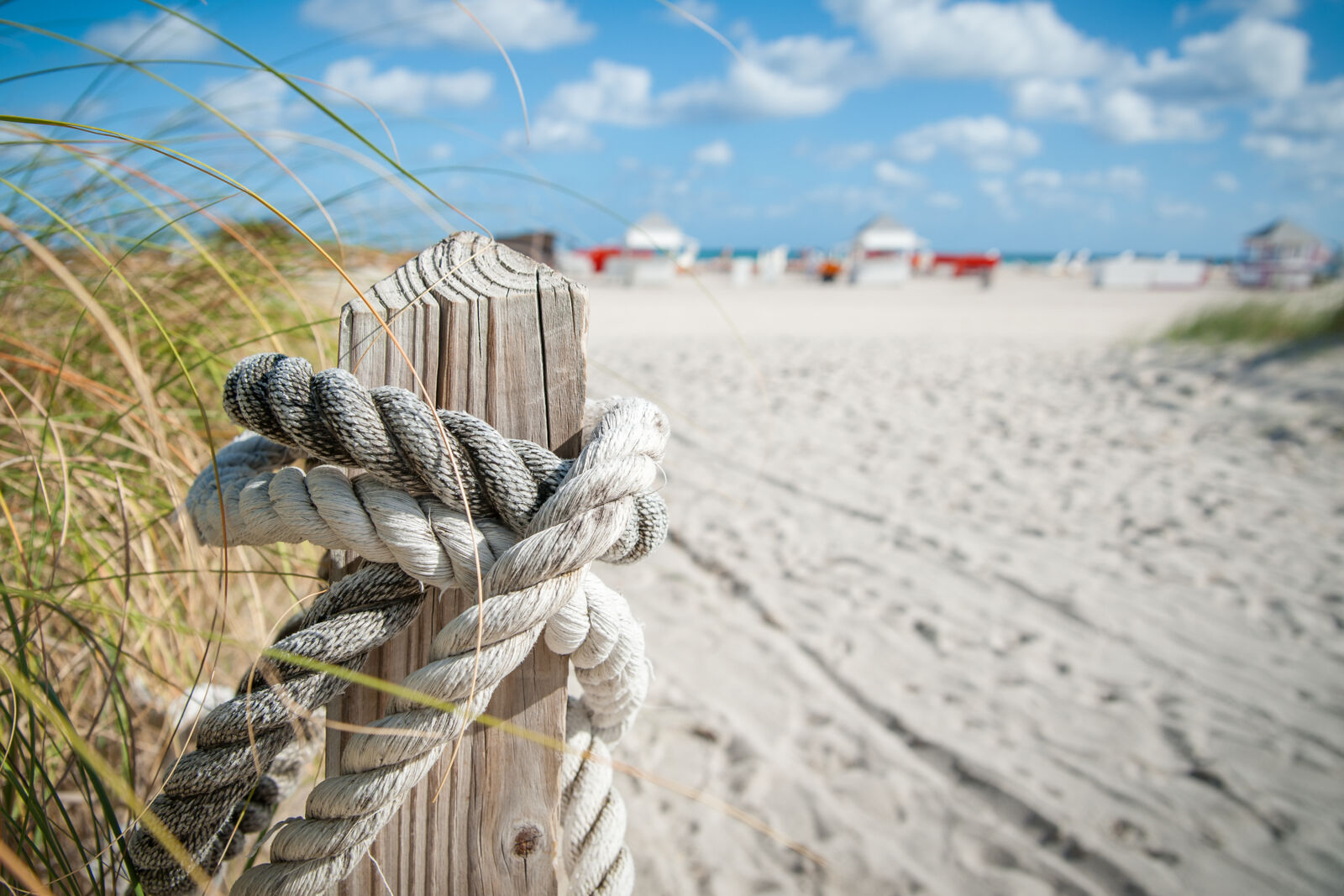 Nikon D700 sample photo. Beach, summer, rope, tracks photography