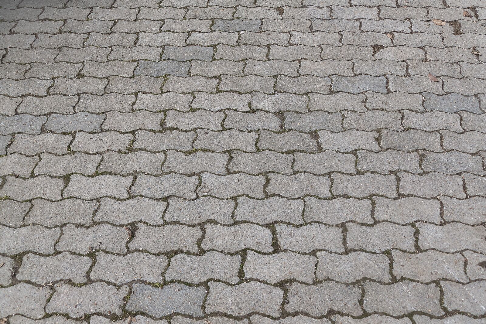 Panasonic Lumix DMC-FZ1000 sample photo. Patch, flooring, paving stones photography