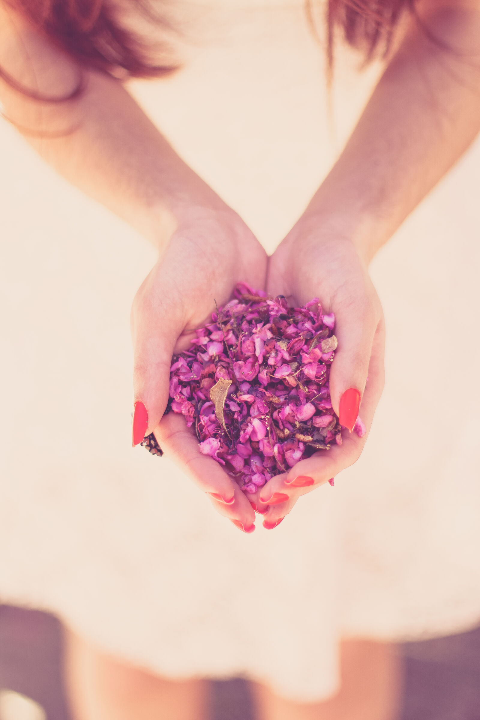 Canon EOS 70D + Canon EF 50mm F1.4 USM sample photo. Hands, flowers, woman, blossoms photography