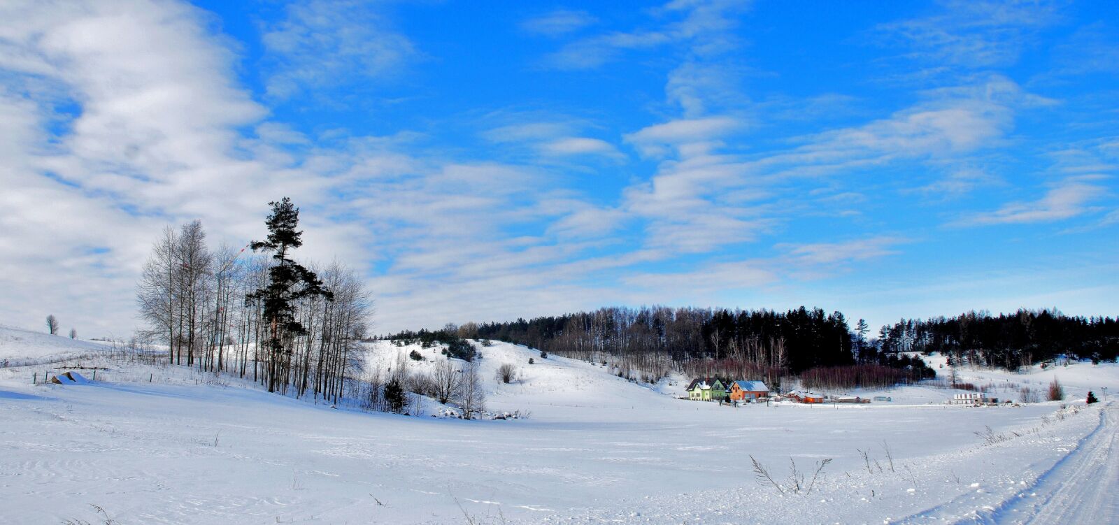 Nikon D80 sample photo. Snow, winter, cold photography