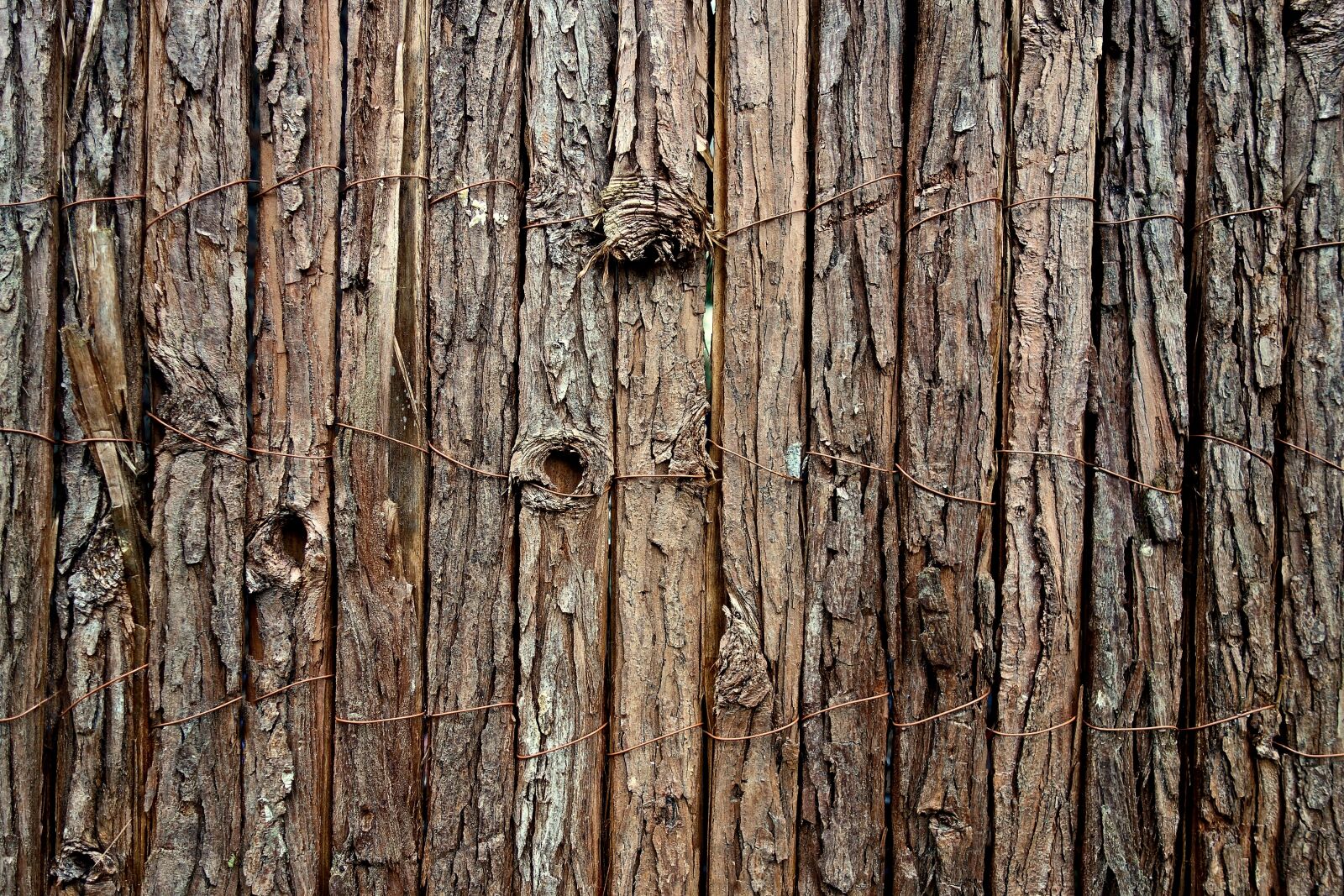 Sony Cyber-shot DSC-RX100 sample photo. Fence, post, wood photography