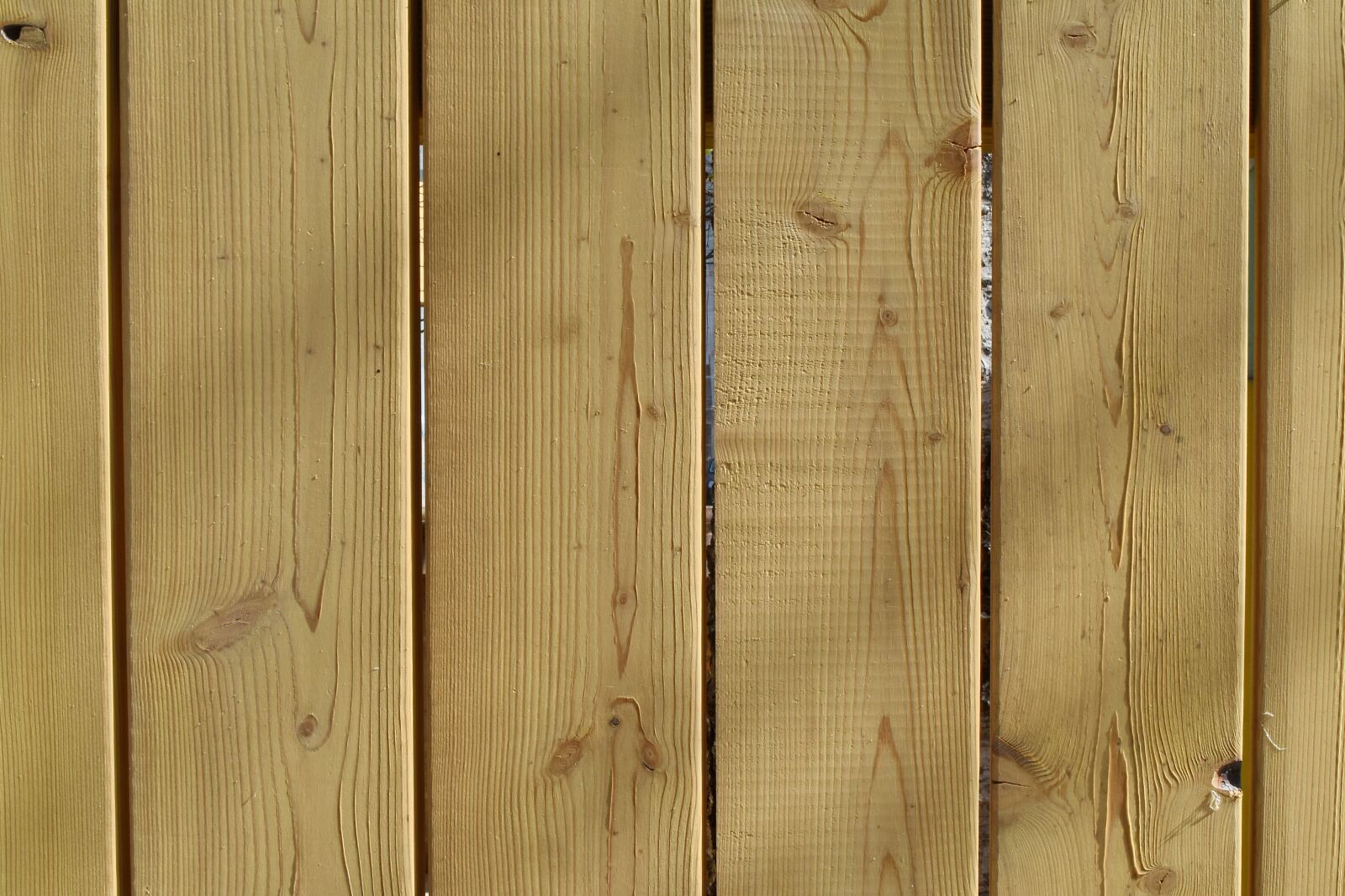 Nikon D5500 sample photo. Panel, board, wood, surface photography