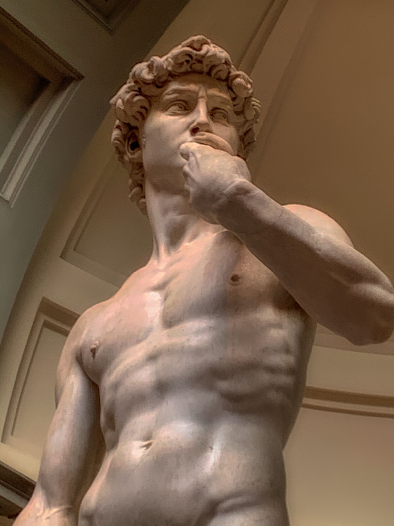 iPhone XR back camera 4.25mm f/1.8 sample photo. David, florence, art photography