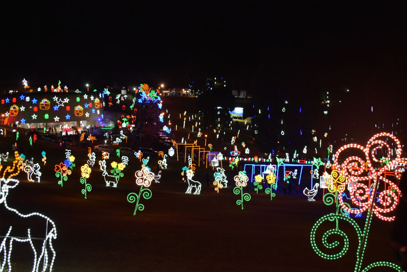 Nikon D3400 sample photo. Bridge of boyaca, christmas photography