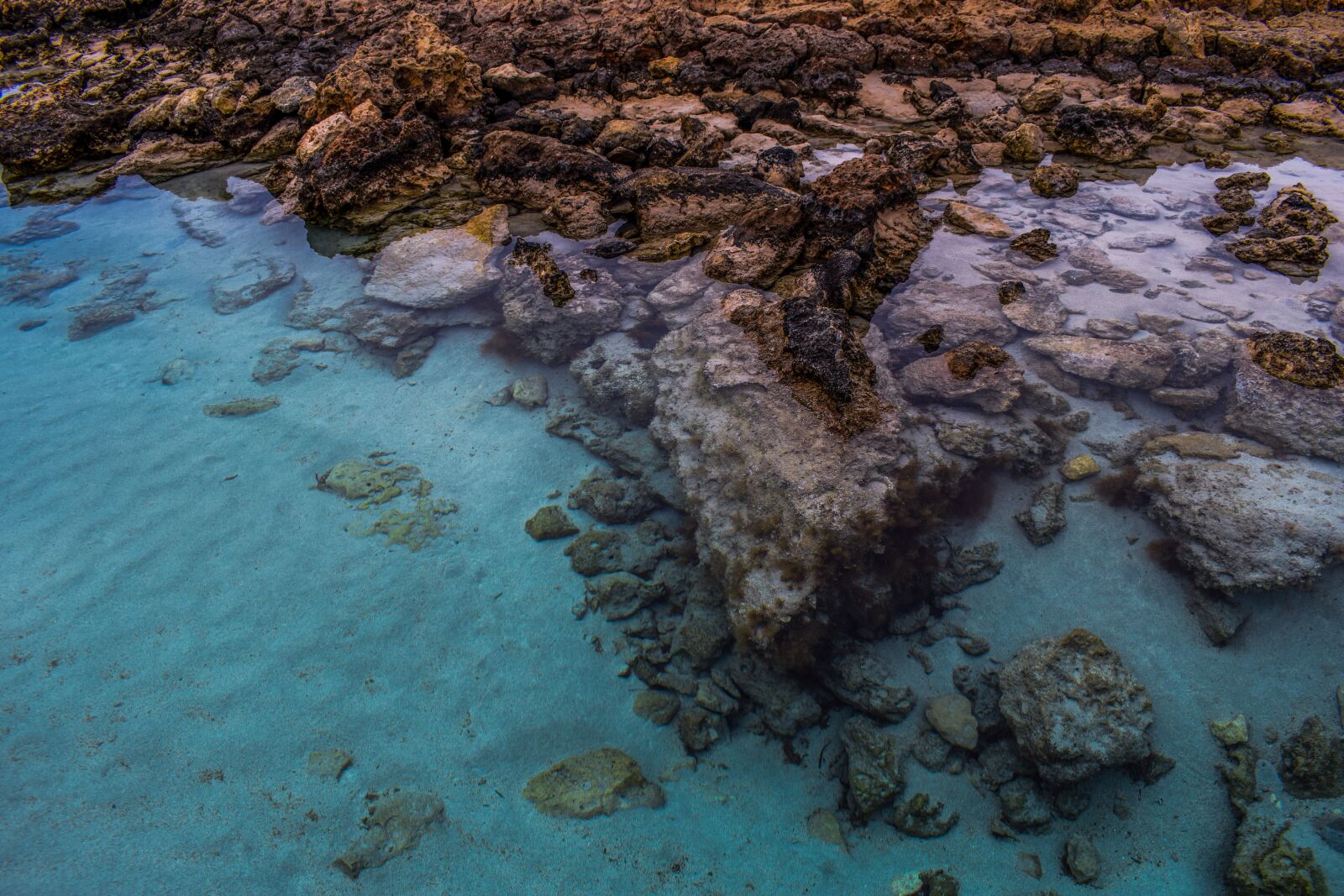 Nikon D3300 sample photo. Water, transparent, clear photography