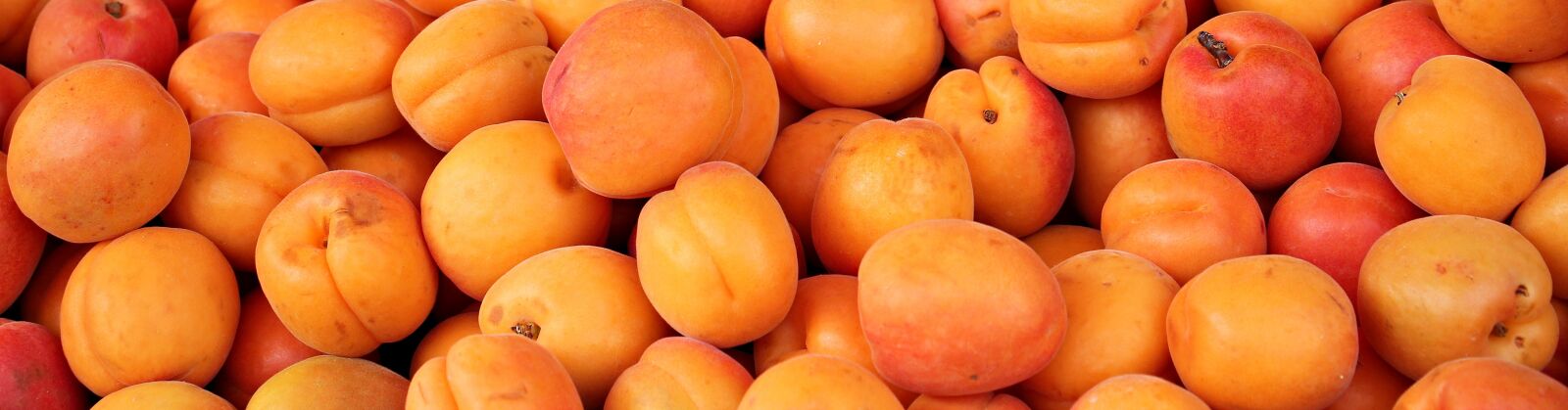 Canon EOS 550D (EOS Rebel T2i / EOS Kiss X4) sample photo. Apricots, fruit, fruits photography