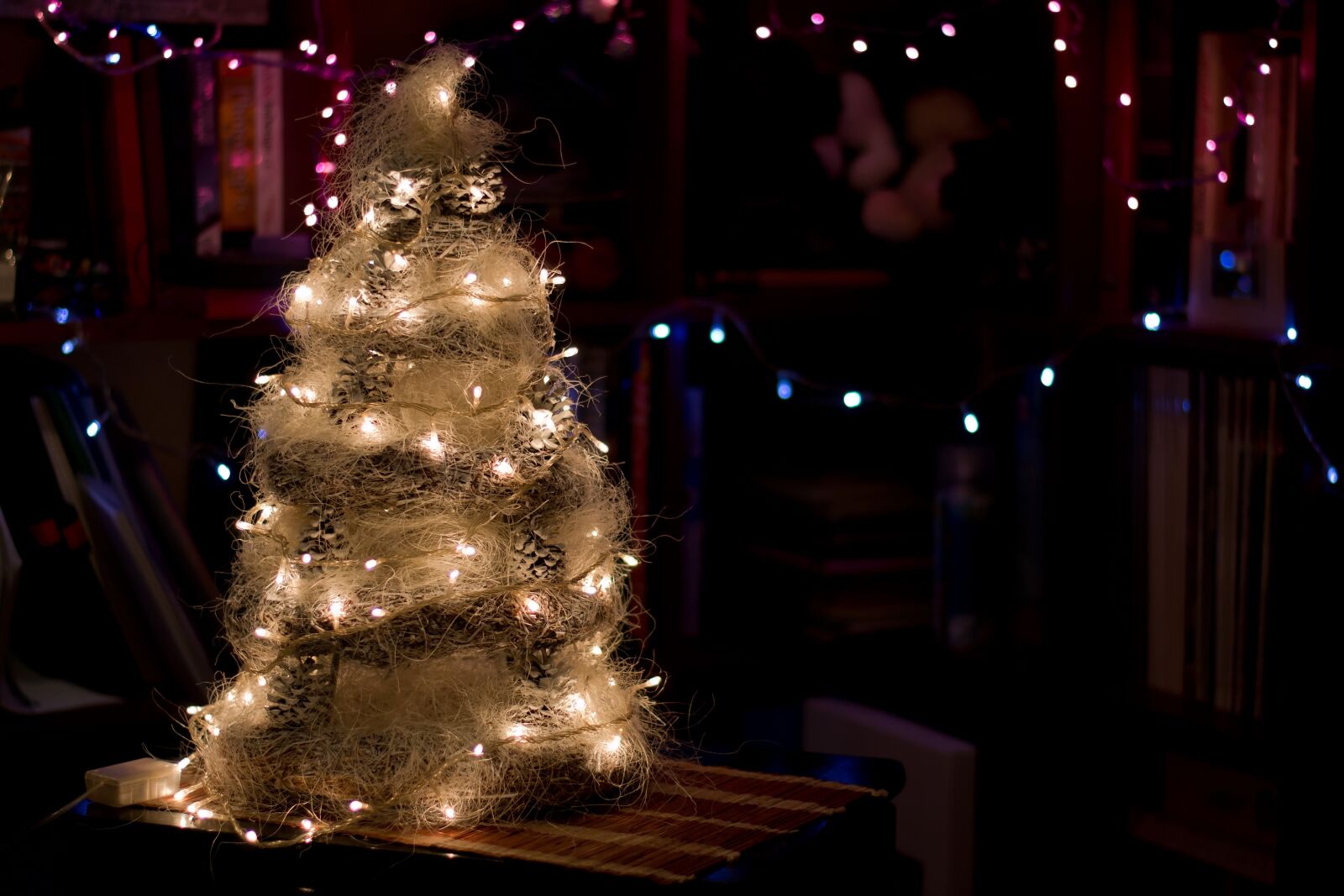 Nikon D3100 sample photo. Christmas, december, new-years photography