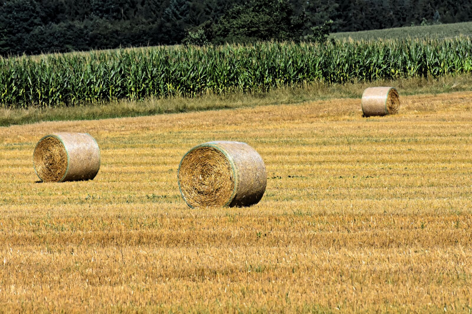Nikon D7200 sample photo. Hay bales, landscape, farm photography