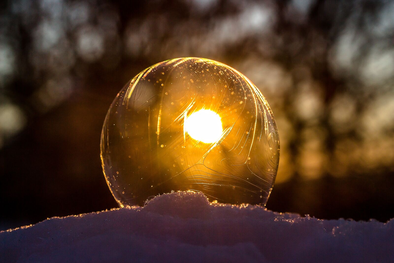 Canon EOS 650D (EOS Rebel T4i / EOS Kiss X6i) sample photo. Frozen bubble, soap bubble photography